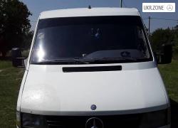 Mercedes-Benz Sprinter 1996 в Новоград-Волынском