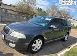 Універсал 5 дверей Skoda Octavia 2007 у Голованівську