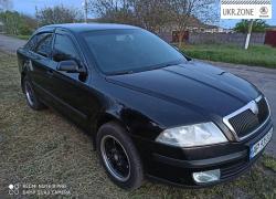 Ліфтбек Skoda Octavia 2006 у Дніпрорудному