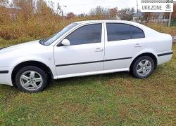 Лифтбек Skoda Octavia 2006 в Прилуках