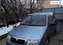Хэтчбек 5 дверей Skoda Fabia 2004 в Летичеве