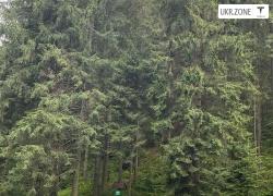 Лифтбек Tesla Model S I 2015 в Киеве