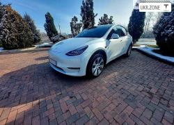 Внедорожник 5 дверей Tesla Model Y I 2021 в Богородчанах