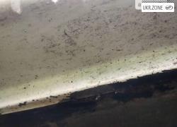 Хэтчбек 3 двери ЗАЗ 1102 «Таврия» I 1995 в Ольшанке