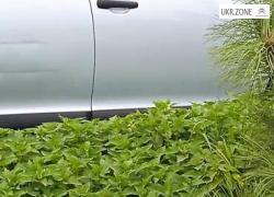 Citroen C4 2008 в Стрые